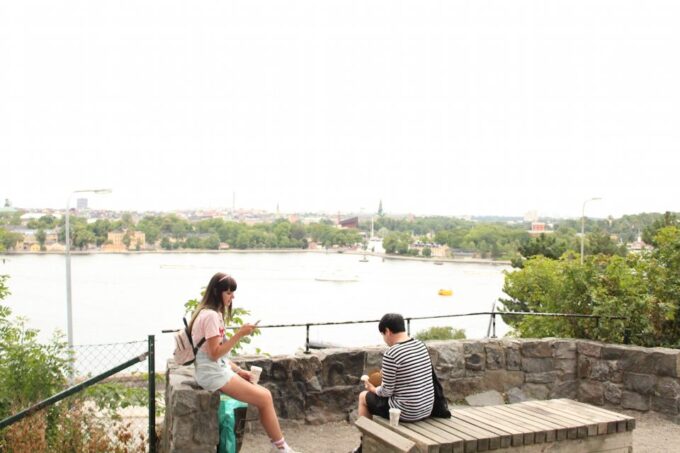 Bohemian Stockholm: Södermalm Island Walking Tour - Local Experiences