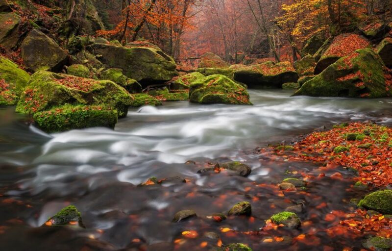 Bohemian Switzerland: Private Day Trip From Prague - Destination Highlights