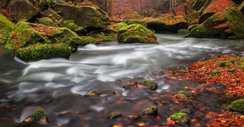 Bohemian Switzerland: Private Day Trip From Prague - Transportation Options