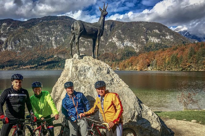 Bohinj Valley Bike Adventure - Accessibility Considerations