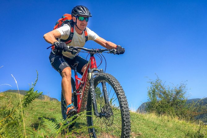Bohinj Valley Bike Adventure - Pricing and Booking Details
