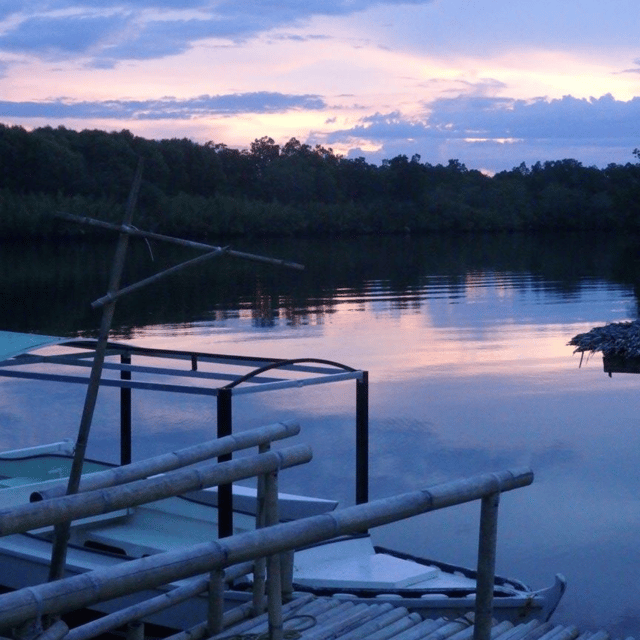 Bohol: Abatan Firefly Watching With Dinner Buffet - Inclusions and Important Information