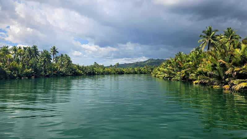 Bohol and Cebu: Natural Wonders of Central Visayas - Snorkeling With Whale Sharks
