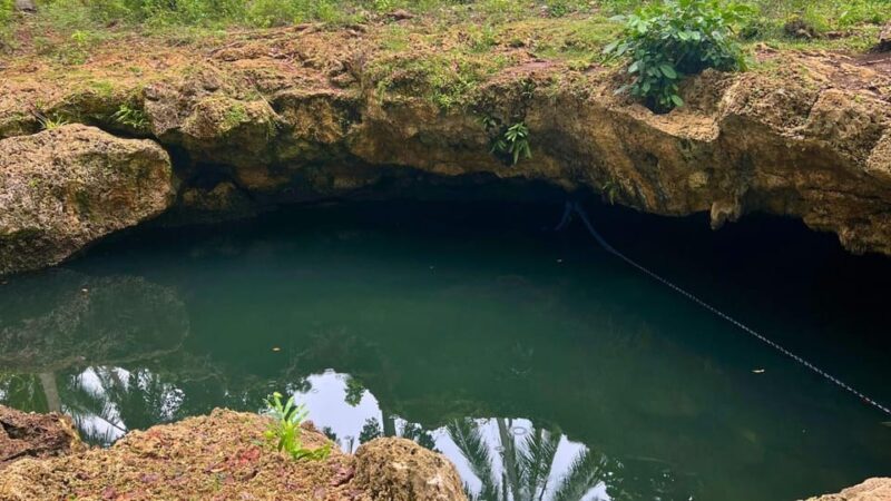 Bohol Anda-Candijay Tour: Beaches, Waterfalls, Lush Terraces - Cultural and Natural Attractions