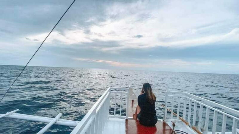 Bohol Balicasag Is Private Tour and Dolphin Watching - FAQs