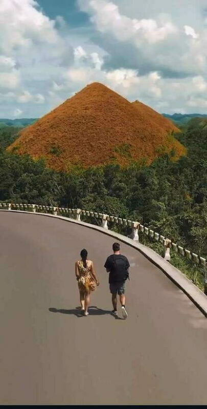 Bohol: Budget Chocolate Hills & Tarsiers -Backpacker Special - Key Points