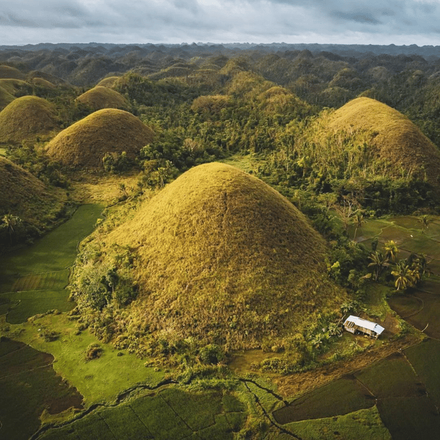 Bohol: Choco Tour With Loboc River Lunch Buffet (Private) - Inclusions