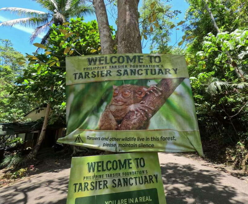 Bohol: Chocolate hills Private Eco-Tours - Starting Your Day with Ease and Comfort