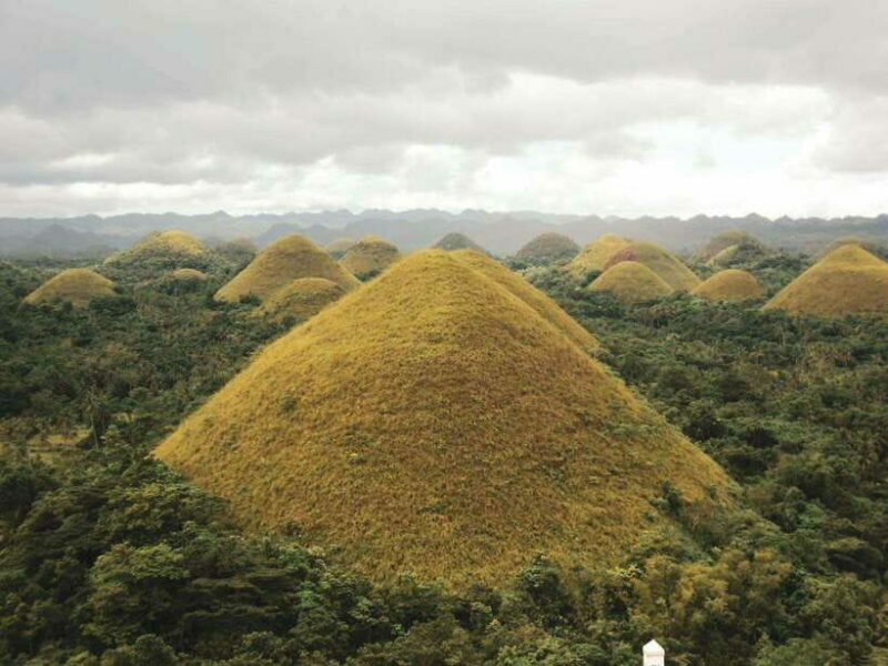 Bohol: Chocolate hills Private Eco-Tours - Scenic Drive Through the Bilar Forest