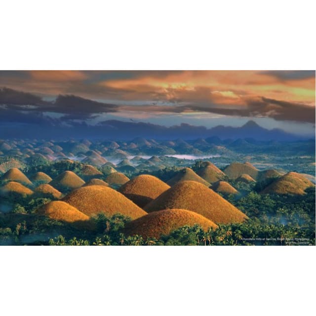 Bohol: Chocolate Hills Tour - Customer Feedback