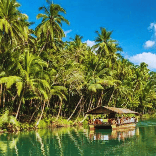 Bohol: Chocolate Hills Tour With Loboc River Cruise & Lunch - Inclusions and Exclusions