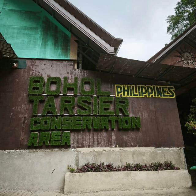 Bohol Chocolate Hills Tour with Loboc River Lunch Buffet - An In-Depth Look at the Bohol Chocolate Hills Tour