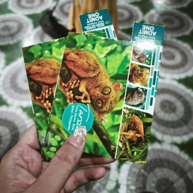 Bohol Chocolate Hills Tour with Loboc River Lunch Buffet - Who Will Love This Tour?