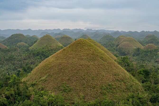 Bohol Chocolate Making and Farm Tour - Key Points