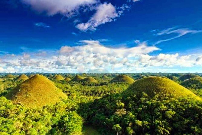 Bohol Countryside Day Tour From Cebu City | Lunch at Loboc River Cruise - Tour Highlights and Duration