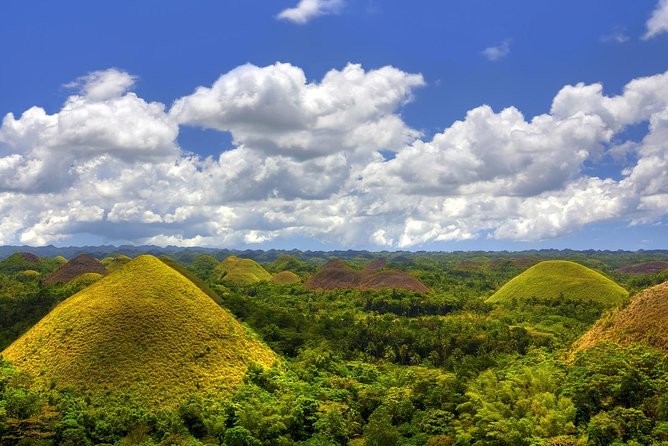 Bohol Countryside Day Tour From Cebu City | Lunch at Loboc River Cruise - Additional Tour Information
