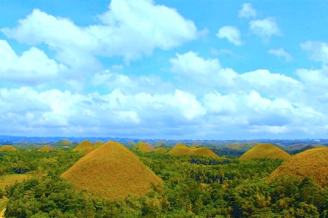Bohol Countryside Day Tour From Cebu City or Mactan - Best Seller - Highlights of the Itinerary
