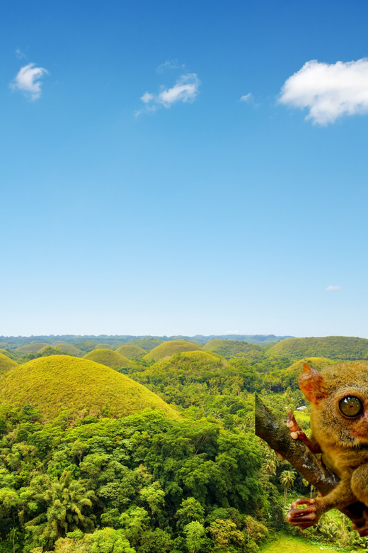 Bohol Countryside Day Tour W Lunch at Loboc River From Cebu - Pickup Information