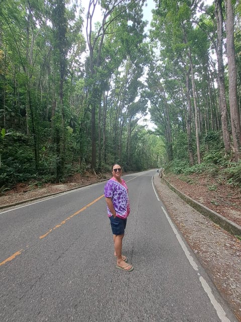 Bohol Countryside Day Tour W Lunch at Loboc River From Cebu - Bilar Mahogany Forest
