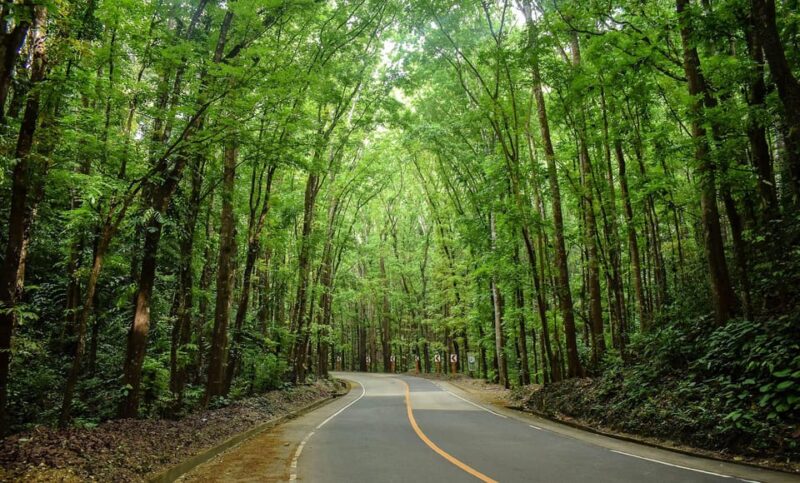 Bohol Countryside Tour - Itinerary Highlights