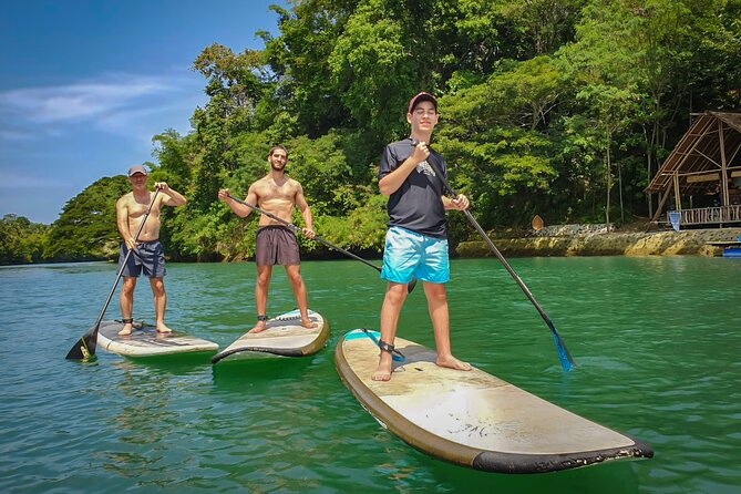 Bohol Countryside Tour: Chocolate Hills, Tarsier and Loboc River - Tour Inclusions and Pricing