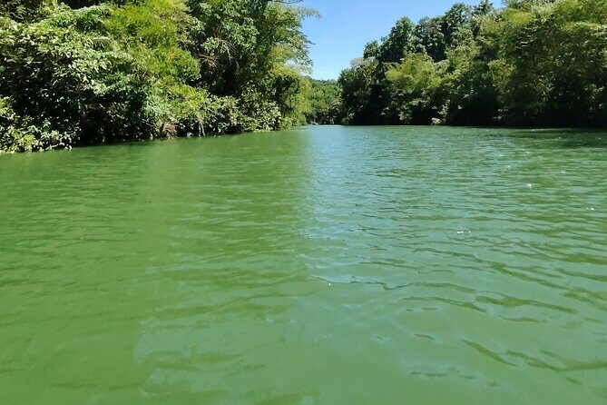 Bohol Countryside Tour to Chocolate Hills and Loboc River - The Sum Up