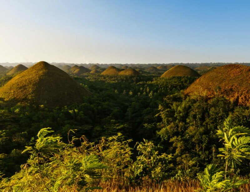 Bohol: Countryside Tour with Tarsiers and Chocolate Hills - Key Points