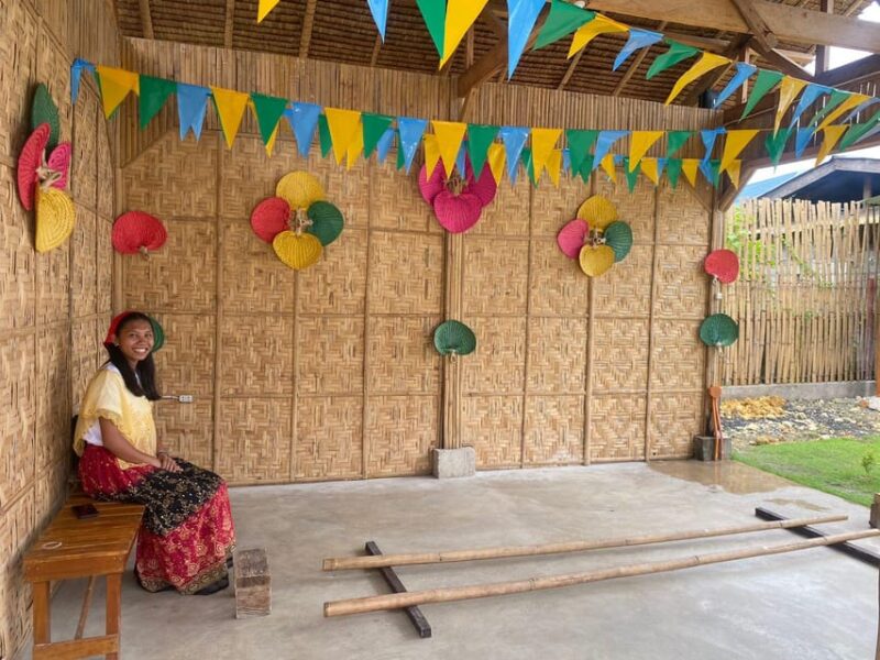 Bohol Cultural Heritage Tour With Lunch Buffet - Cultural Experiences