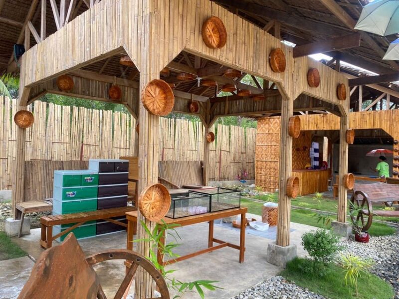 Bohol Cultural Heritage Tour With Lunch Buffet - Inclusions