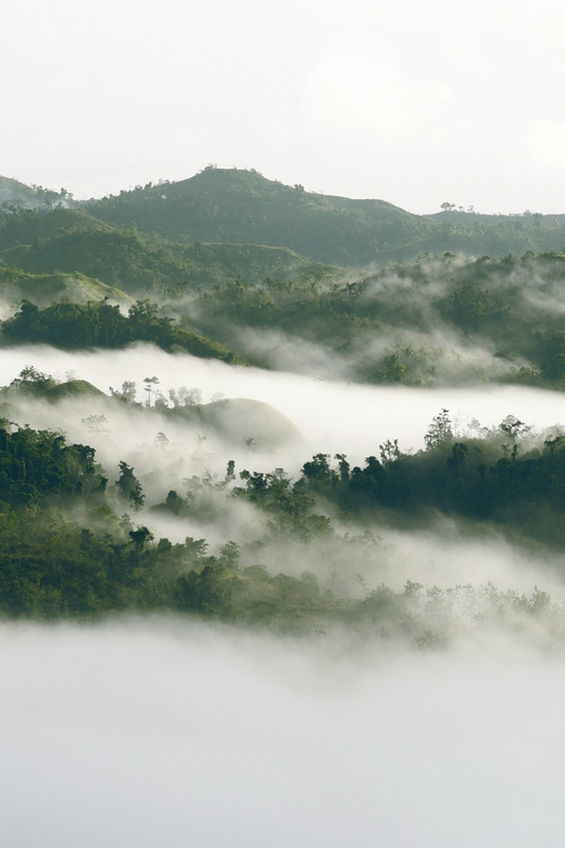 Bohol: Danao Adventure With the Plunge - Sky Ride and Suislide