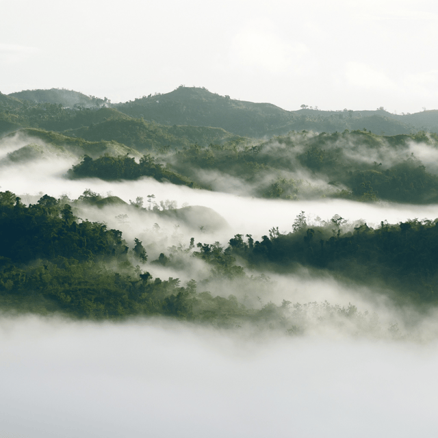 Bohol: Danao Adventure With the Plunge - Important Considerations
