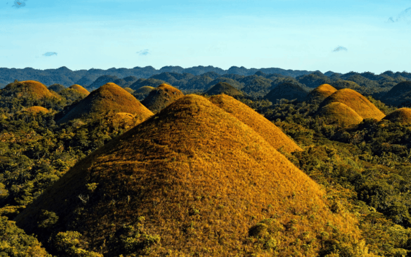 Bohol Day Tour From Cebu City or Mactan (Private Tour) - Inclusions