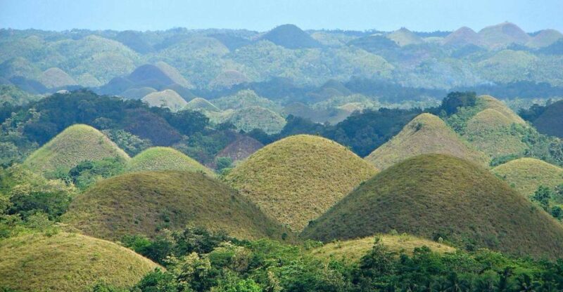 Bohol Day Tour From Cebu - Included Services