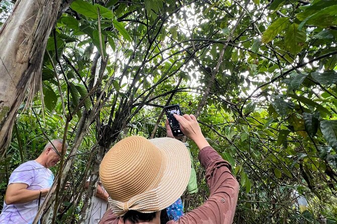 Bohol Day Tour With Round-Trip Transfers From Cebu - Cancellation and Booking Policies