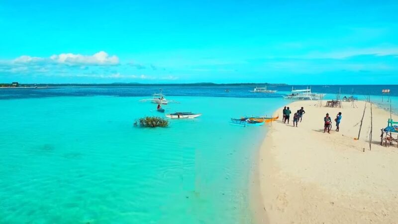 Bohol: Dolphin and Sea Turtle Watching Island Hopping Tour - Included and Restrictions