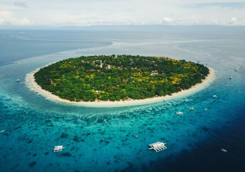 Bohol: Dolphin and Sea Turtle Watching Island Hopping Tour - Important Information