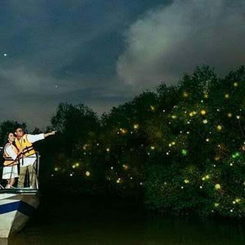 Bohol: Firefly Experience with Pickup - An In-Depth Look at the Firefly Experience in Bohol