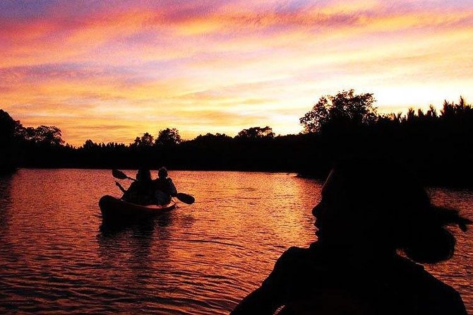Bohol: Firefly Kayaking With Dinner - Environmental Impact