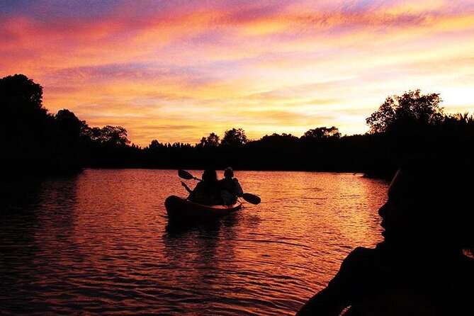 Bohol: Firefly Kayaking With Dinner - Package Inclusions