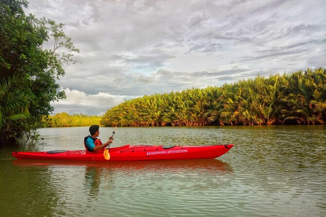 Bohol: Firefly Kayaking With Dinner - Booking Information