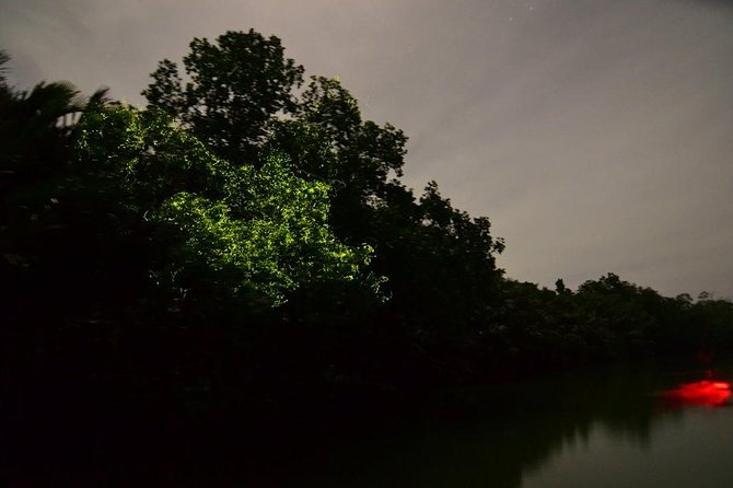 Bohol Firefly Or Fullmoon Tour Stand Up Paddle Tour - Meeting and Pickup