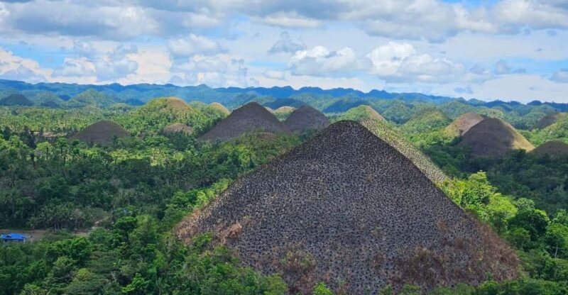 Bohol: From Snorkeling With Whale Sharks to Chocolate Hills. - Itinerary Highlights