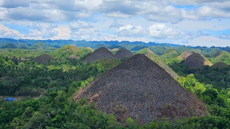 Bohol: From Snorkeling With Whale Sharks to Chocolate Hills. - Key Attractions