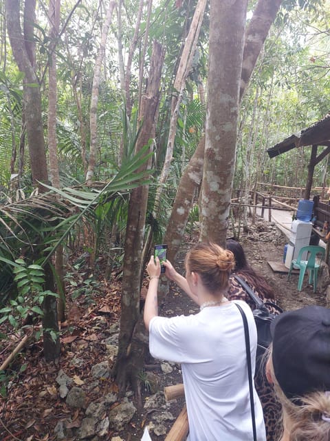 Bohol: From Snorkeling With Whale Sharks to Chocolate Hills. - Entrance Fees