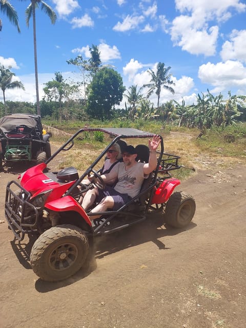 Bohol: From Snorkeling With Whale Sharks to Chocolate Hills. - Booking and Reservations