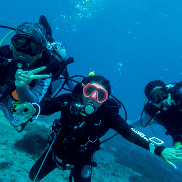 Bohol: Fun Dive Experience at Balicasag Island - Frequently Asked Questions