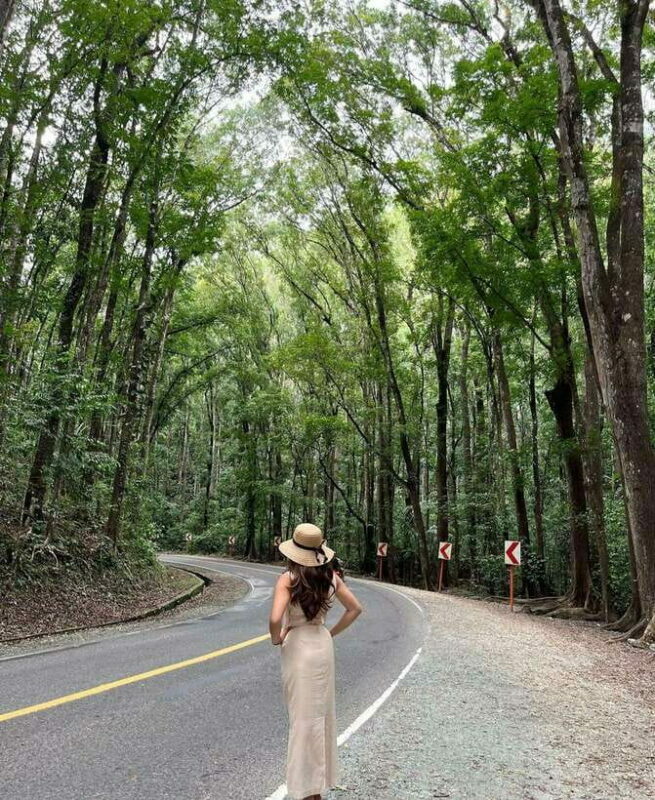 Bohol: Guided Chocolate Hills & Tarsiers Tour - A Well-Organized Day on Bohols Most Famous Sights