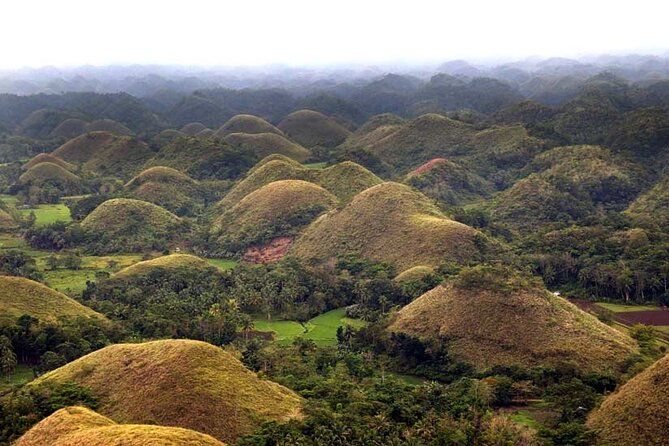 Bohol Highlights Tour: Chocolate Hills, Tarsier Spotting and Loboc River Cruise - Tour Overview and Highlights