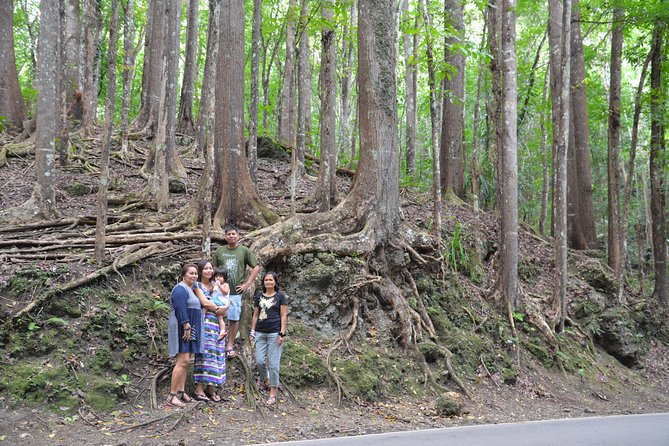 Bohol Island Countryside Tour With Buffet Lunch River Cruise (Cebu or Bohol) - Tour Overview and Highlights