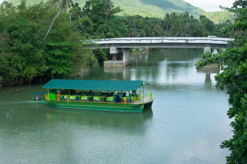 Bohol: Loboc River Buffet-Lunch Cruise With Private Transfer - Cruise Highlights